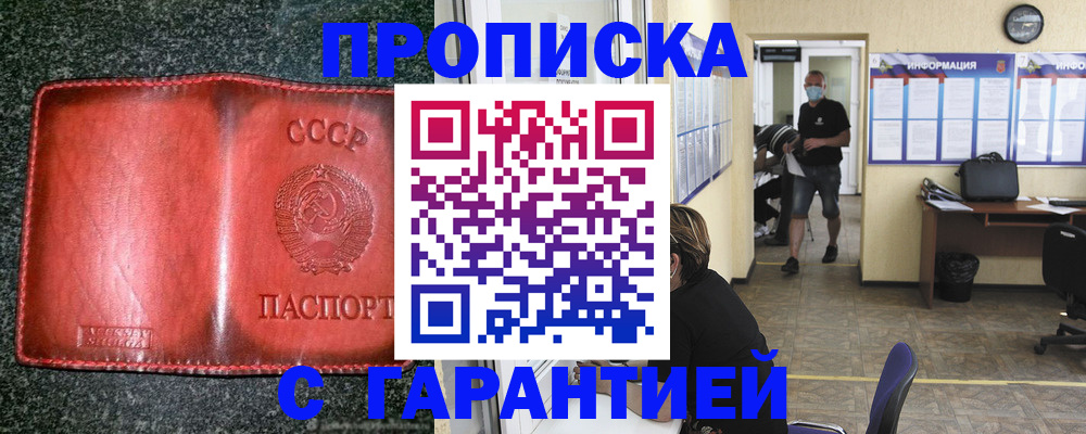 прописка гарантия в Новочебоксарске